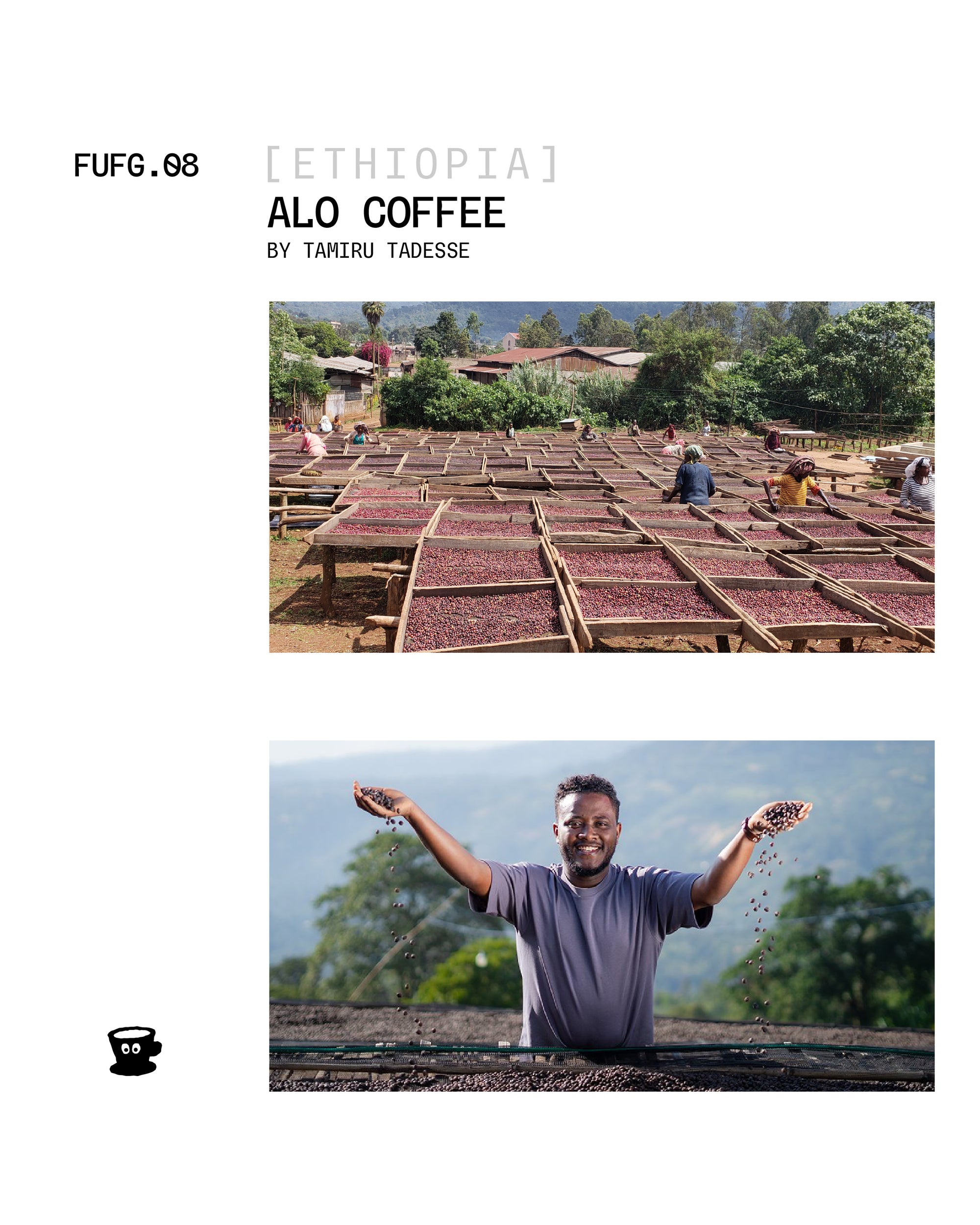 Ethiopia - Alo Coffee / 74158 (Safo Station) / Washed