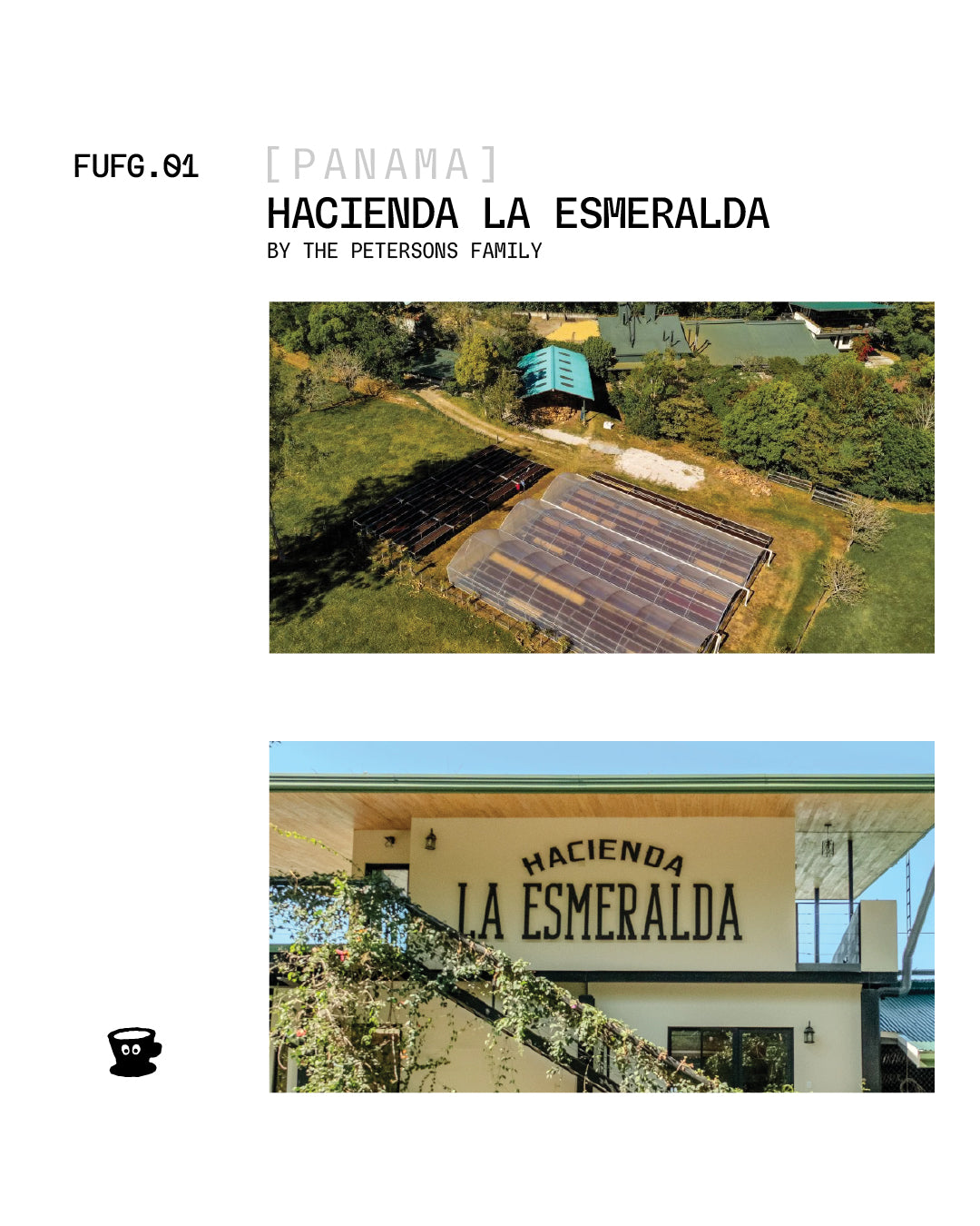 Panama - Hacienda La Esmeralda / Geisha (LEON 3 BANC) / Anaerobic Natural